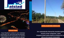 Alanya Sanayici ve İş İnsanları Derneği'nden yangınlara karşı birlik çağrısı