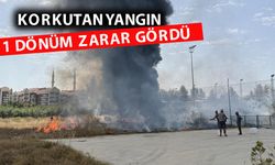 Alanya'da şehir merkezinde yangın korkuttu