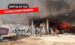 Antalya'da soğuk hava deposu ve imalathanede yangın