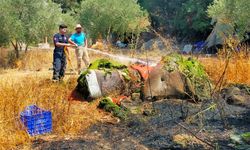 Zeytin bahçesi yangında zarar gördü
