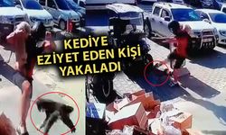 Kediyi tekmeleyen şüpheliye gözaltı
