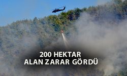 Alanya'daki orman yangınında 2'nci gün (5)