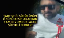 Alanya'da aracın camını yumruklayan şüpheli serbest