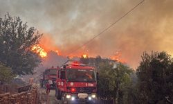 Alanya'daki orman yangınında 2'nci gün