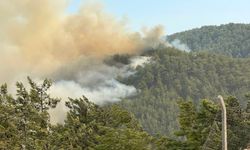 Alanya'da iki mahalle kontrol altında