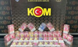 Antalya'nın Alanya dahil 5 ilçesinde kaçakçılık operasyonu