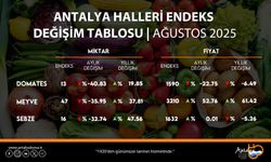 Ağustos hal endeksi açıklandı