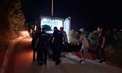 Manavgat'ta 10 gündür kayıptı: Cansız bedeni bulundu