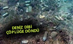 Alanya’da kirlilik canlıları ve turizmi tehdit ediyor