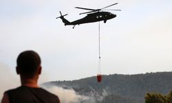 Alanya'da 400 hektar alan zarar gördü