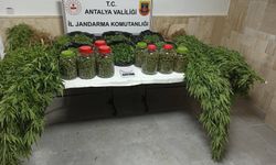 Antalya'da operasyonda 43 kilogram skunk ele geçirildi