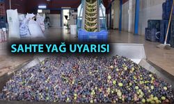 Alanya'da 'yok yılı' ve kuraklık zeytinde rekolte beklentisini düşürdü