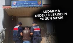Antalya’da jandarma operasyonu: 208 Aranan şüpheli yakalandı
