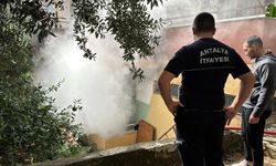 Apartman dairesindeki yangın korkuttu