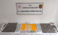 Alanya'da uyuşturucu operasyonu: 2 tutuklama