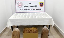 Antalya'da kaçak tütün operasyonu