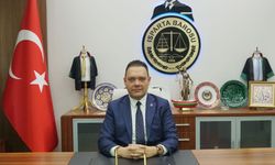 'Bağlama büyüsü' için sokak hayvanlarının uzuvlarını kesmişler