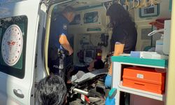 Antalya'da iki kardeş kavgası: 2 yaralı
