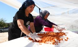Antalya'da kadın kooperatiflerinde kış hazırlığı