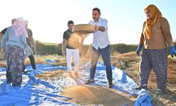 'Manavgat susamı yurt dışında da büyük ilgi görüyor'