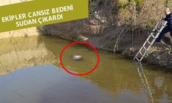 Su dolu çukurdan kadın cesedi çıktı