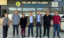 Alanya Avokadosu Dünya Pazarlarında yerini alıyor