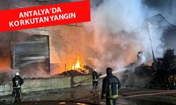 Antalya'da paketleme fabrikasında yangın