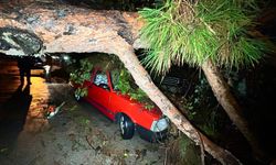 Antalya'da şiddetli yağış ağacı devirdi: 2 araç zarar gördü