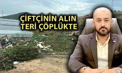 Alanya’da salatalık krizi: Kamyonlar dolusu ürün çöpe döküldü