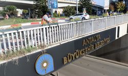 Antalya'da 4 milyon çiçek toprakla buluşuyor