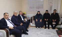 Böcek ailesine taziye