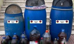 Jandarmadan kaçakçılık ve tarihi eser operasyonları