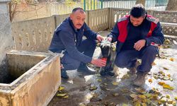 Kayalıklarda mahsur kalan keçi kurtarıldı