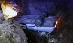 Köpeğe çarpmamak için manevra yapınca otomobiliyle kanala düştü