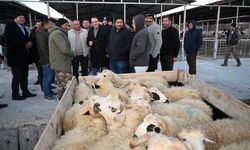 Şap hastalığı kontrolü yapıldı