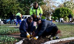 Trafik Parkı çiçek bahçesine dönüştü