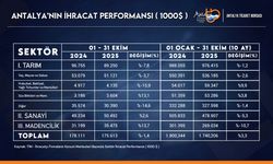 Antalya ihracatı ekimde geriledi
