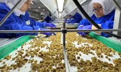 Çin'de organik sektörü 15 milyar dolarlık hacme ulaştı