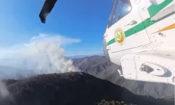 İran'daki orman yangınlarına Türkiye'den destek