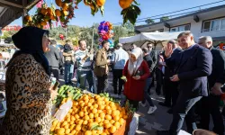 Mandalina Festivali'ne binlerce kişi katıldı