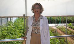 Ruhsal hastalıklarla 'toplum temelli' mücadele; birlikte üretip paylaşıyorlar