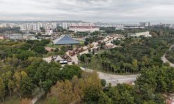 Antalya'da işletmeler mühürlendi