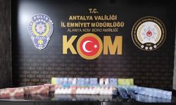 Alanya'da kaçakçılık operasyonu