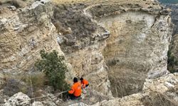 Avcılar, uçurumdan yuvarlanan köpeği kurtardı