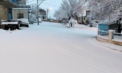 Afyonkarahisar'da kar etkisini gösterdi