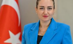 Antalya Başkan Vekili Özdemir'den yeni yıl mesajı