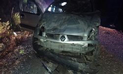 Gazipaşa'da araç şarampole düştü: 3 yaralı