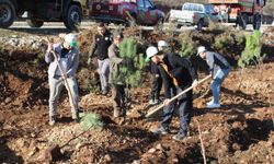 Hz. Muhammed Hatıra Ormanı kuruldu