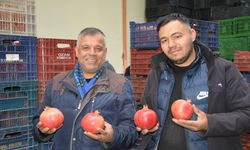 Nar ihracatı başladı