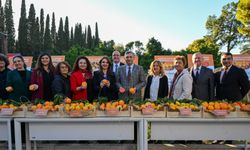 BATEM, Antalya portakallarını tanıttı